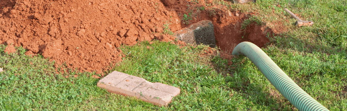 Why Regular Inspections Are Your Best Investment